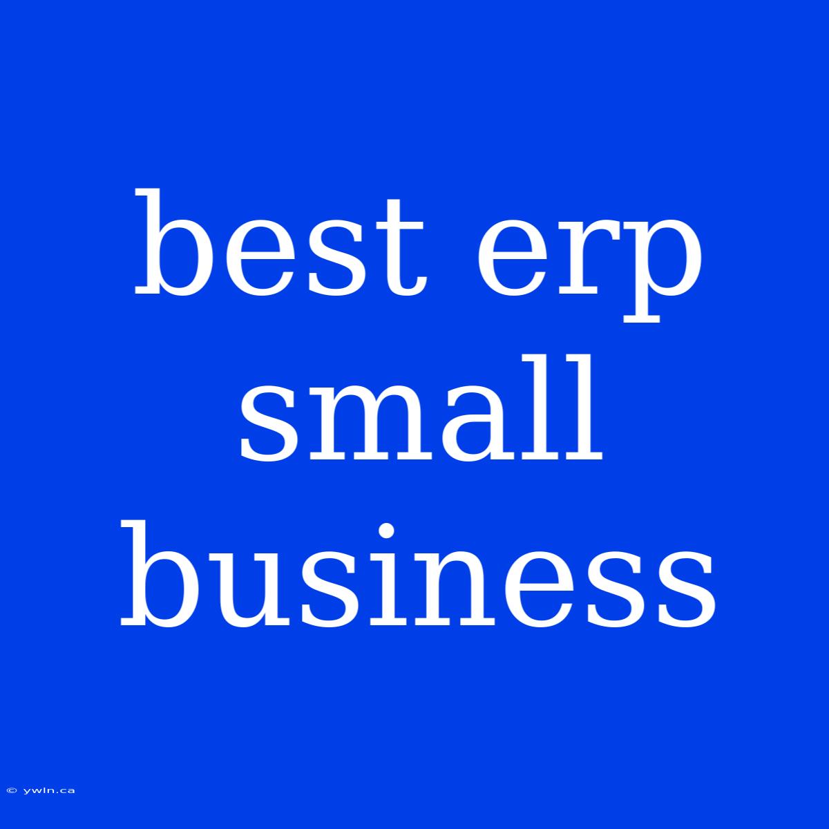 Best Erp Small Business