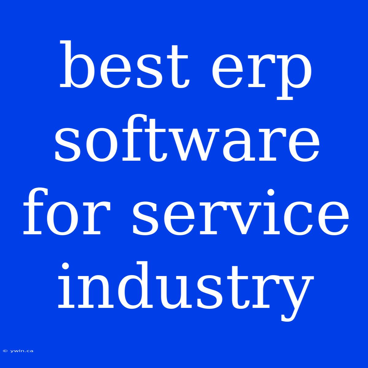 Best Erp Software For Service Industry