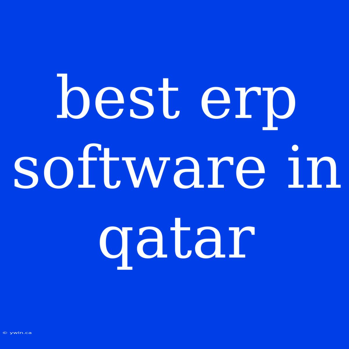 Best Erp Software In Qatar