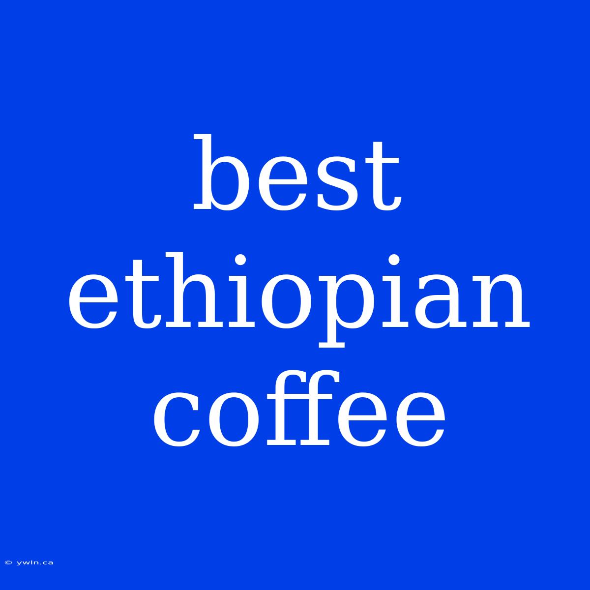 Best Ethiopian Coffee