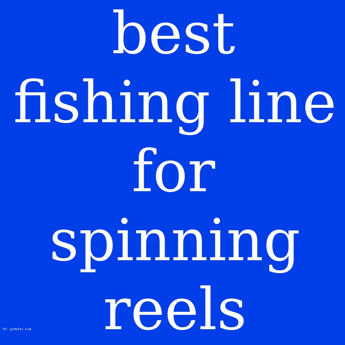 Best Fishing Line For Spinning Reels