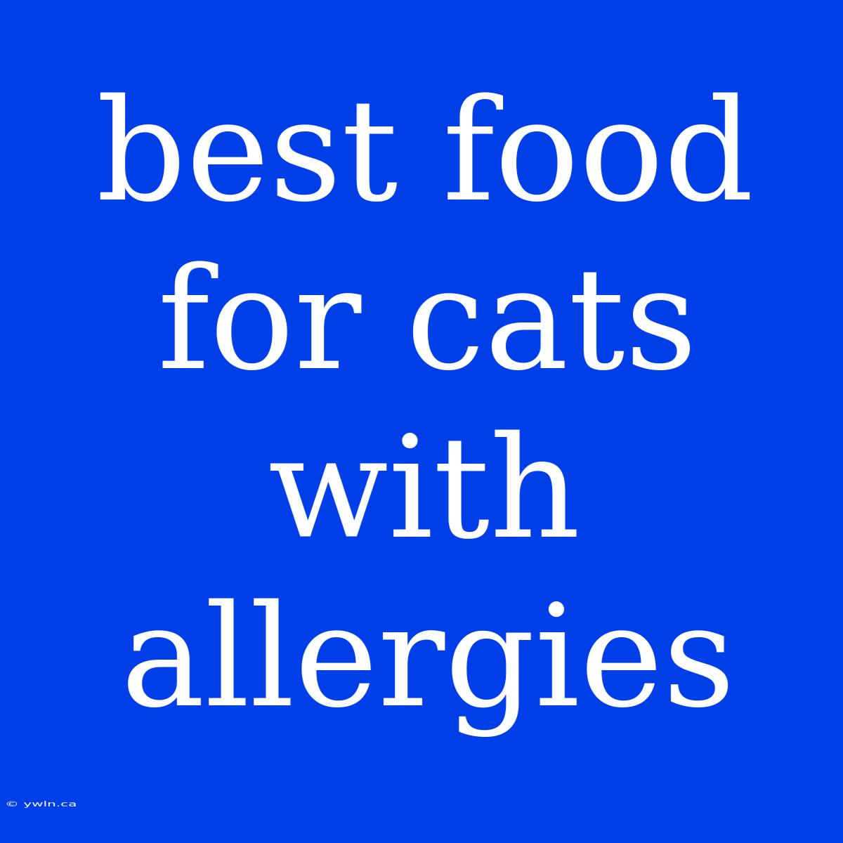 Best Food For Cats With Allergies