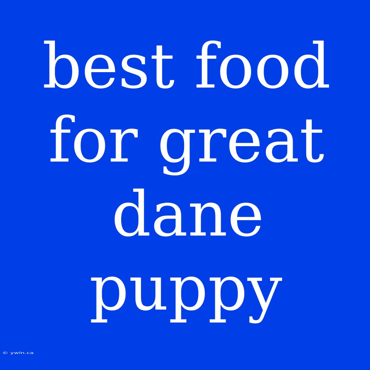 Best Food For Great Dane Puppy