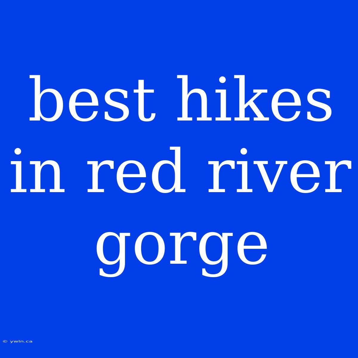 Best Hikes In Red River Gorge