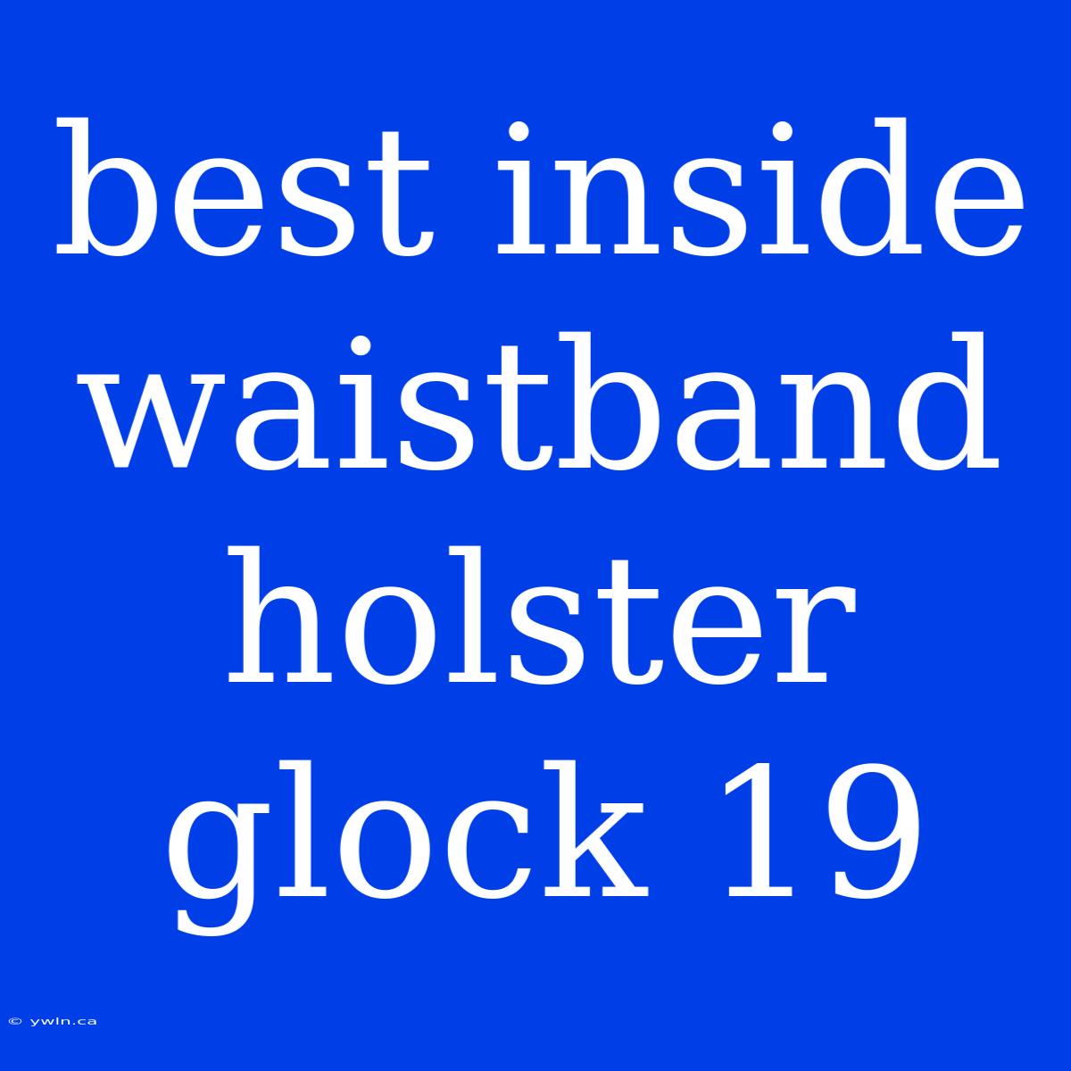 Best Inside Waistband Holster Glock 19