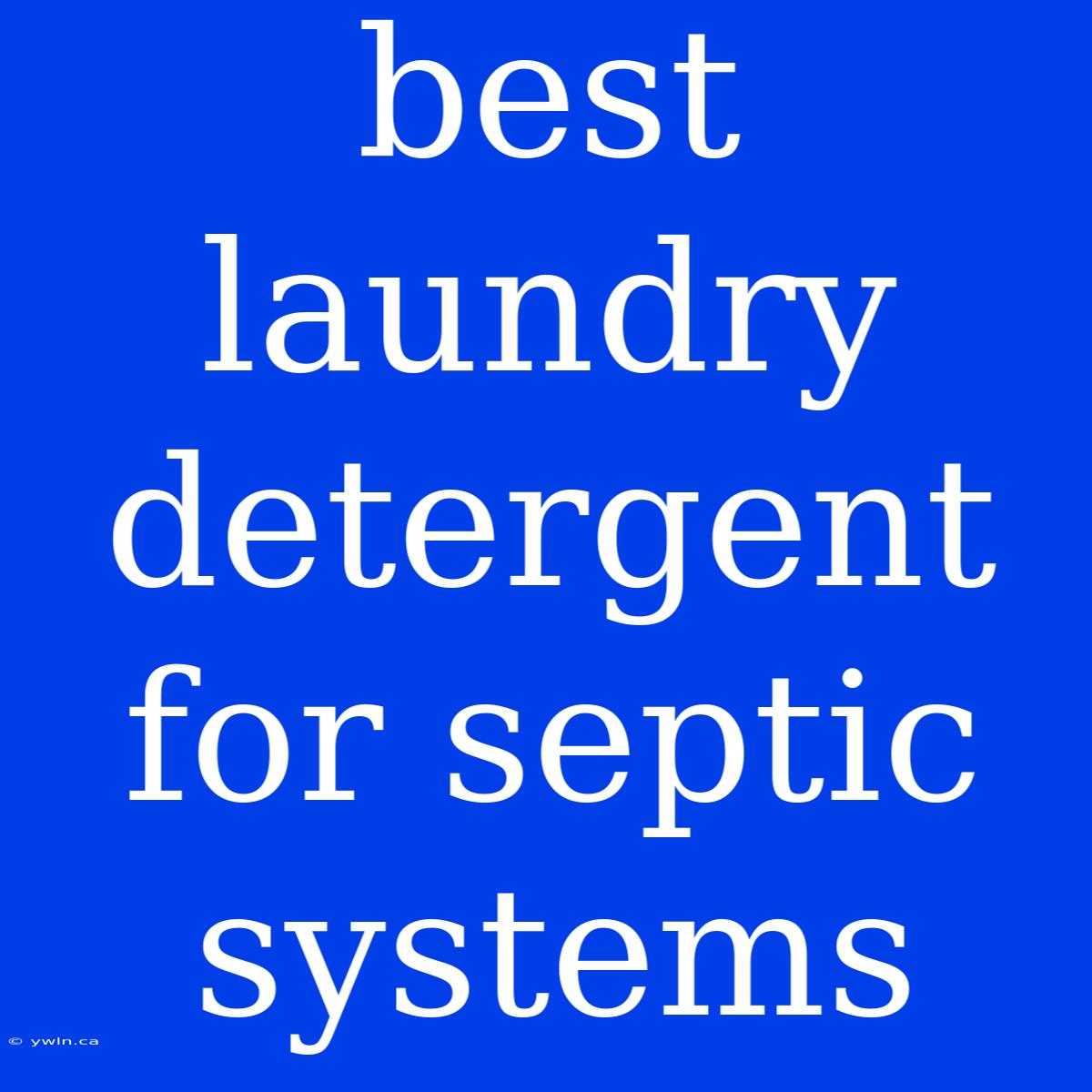 Best Laundry Detergent For Septic Systems