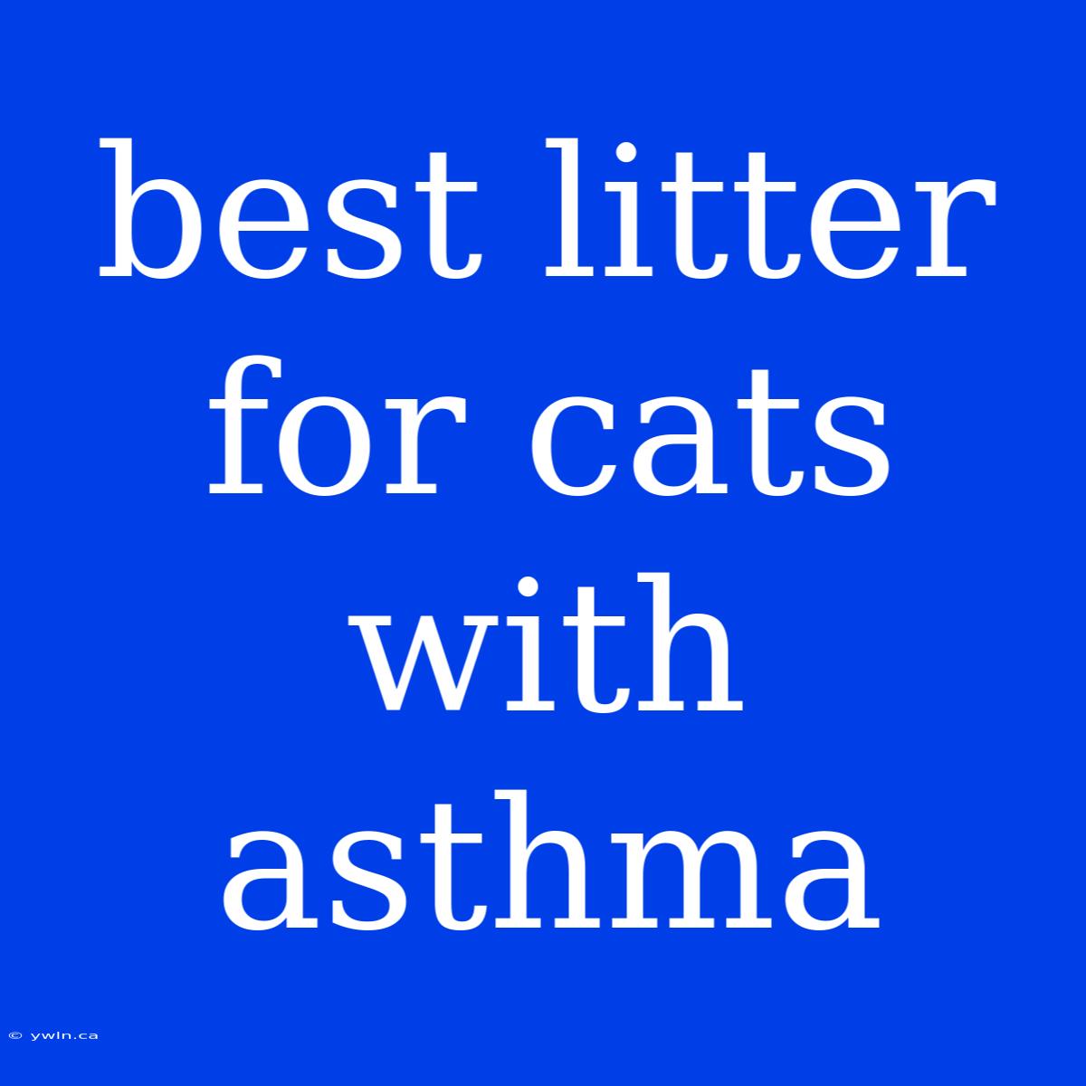 Best Litter For Cats With Asthma