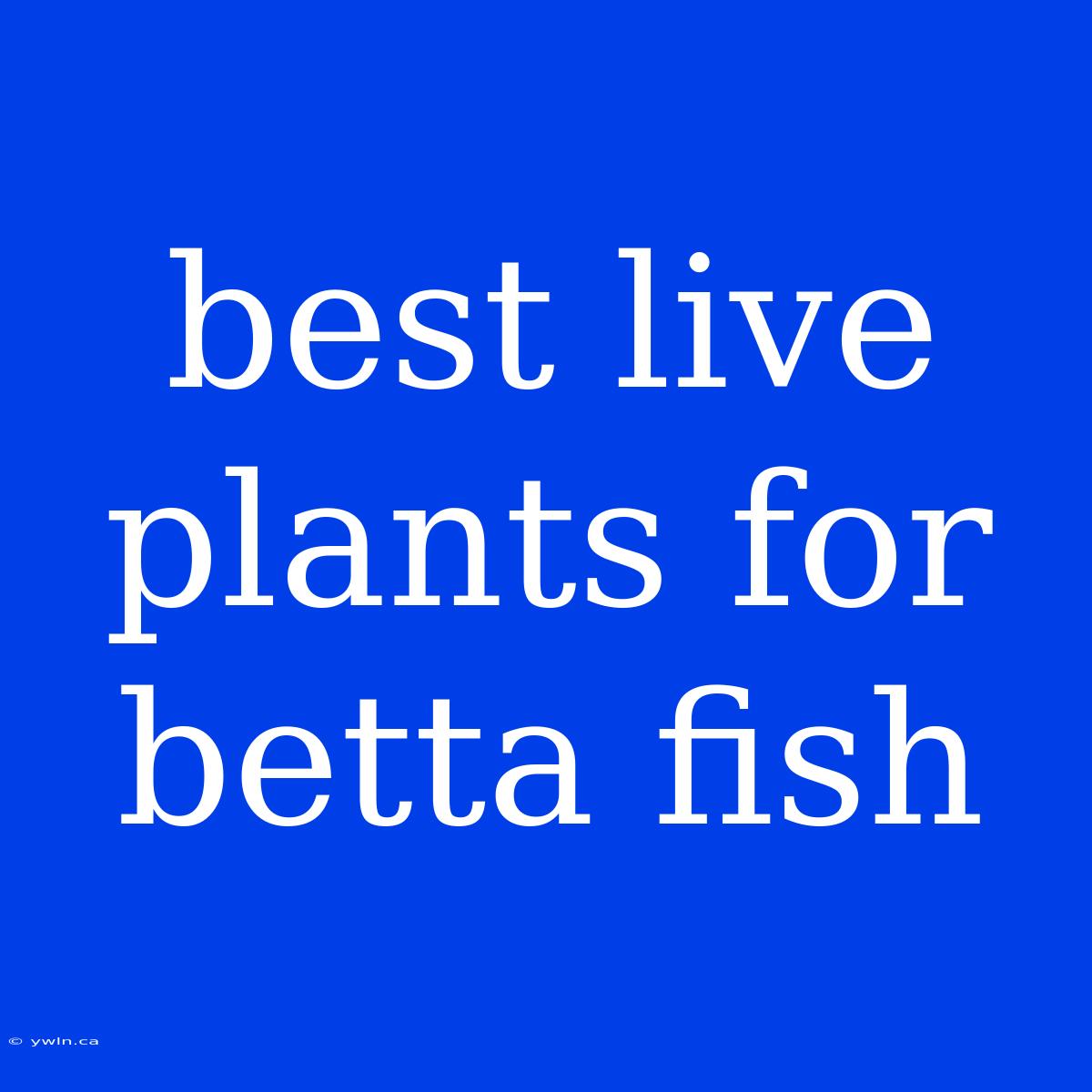 Best Live Plants For Betta Fish