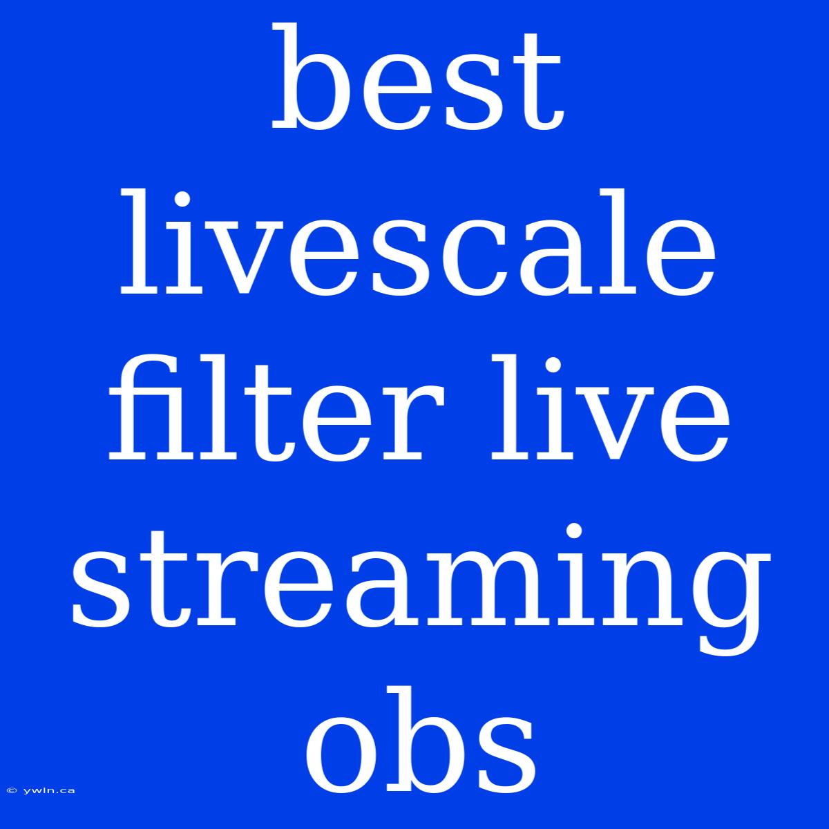 Best Livescale Filter Live Streaming Obs