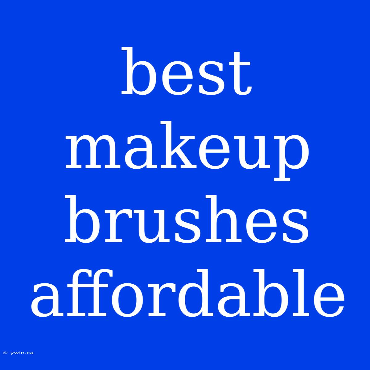 Best Makeup Brushes Affordable