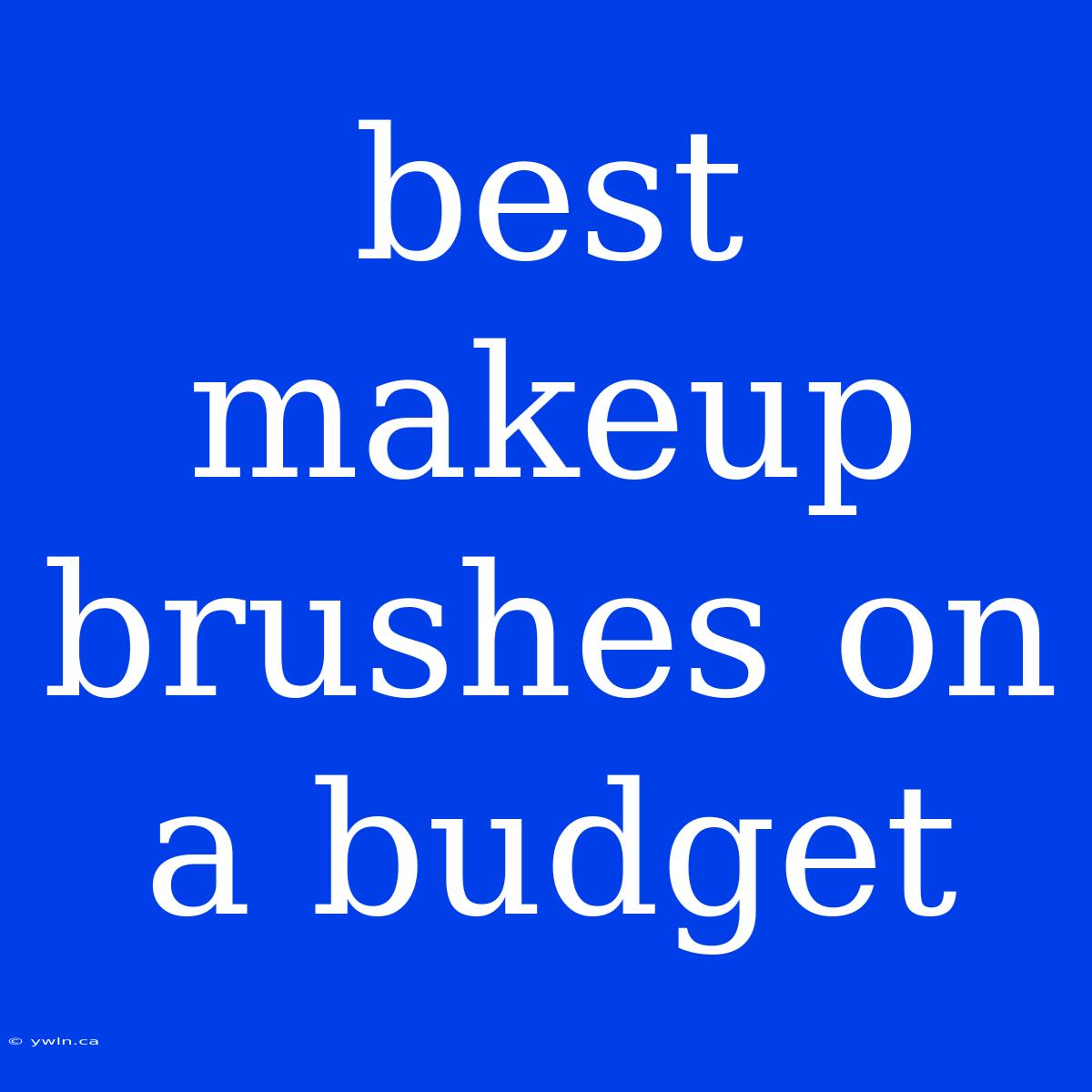 Best Makeup Brushes On A Budget