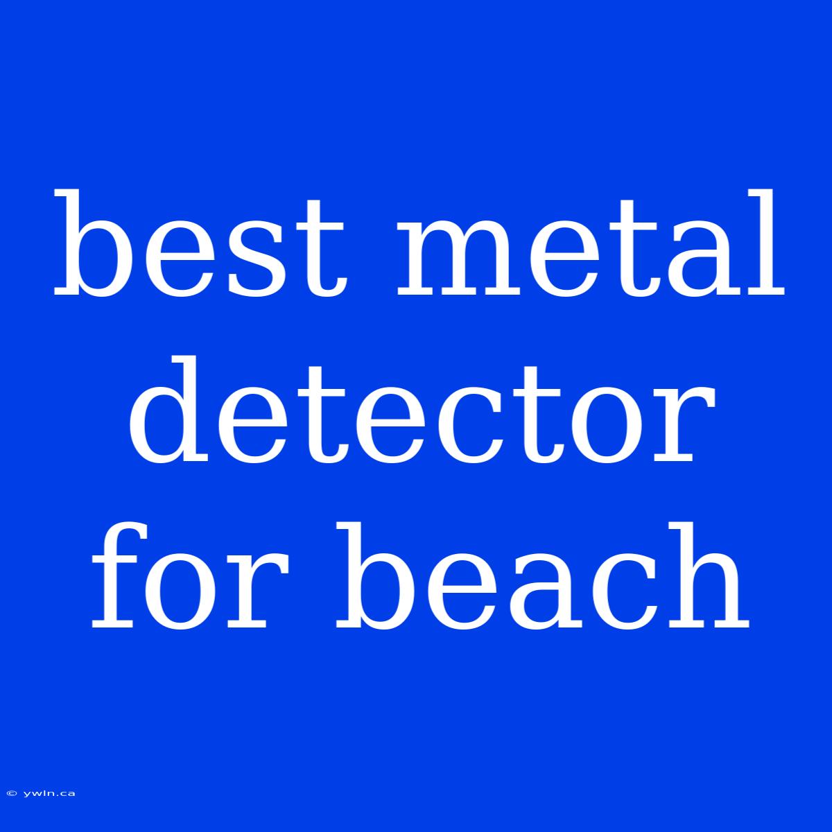 Best Metal Detector For Beach