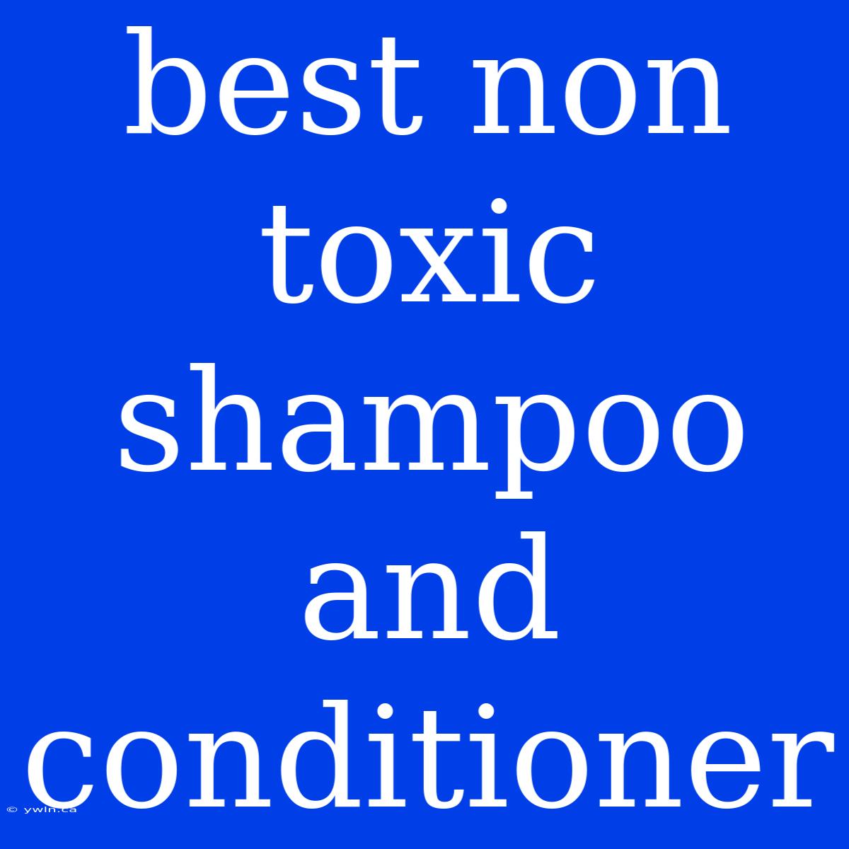 Best Non Toxic Shampoo And Conditioner