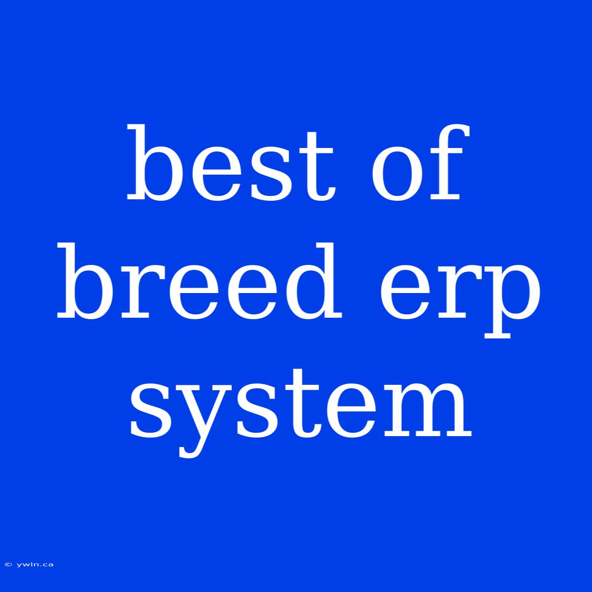 Best Of Breed Erp System