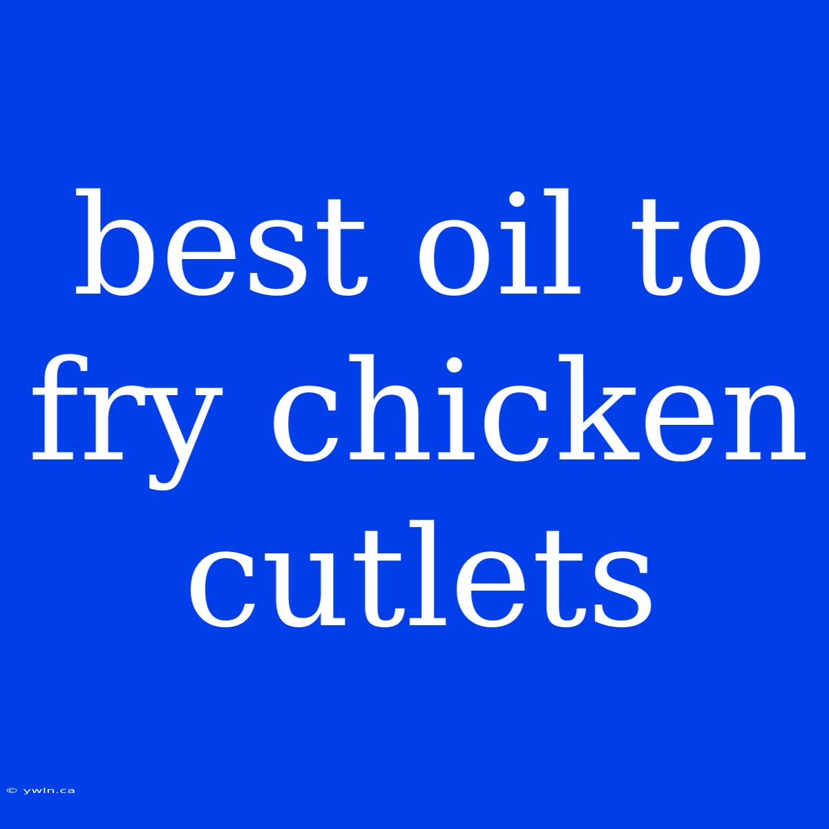 Best Oil To Fry Chicken Cutlets