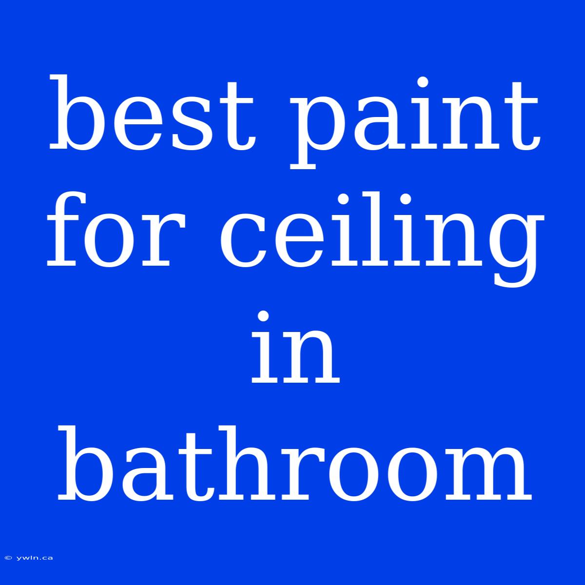 Best Paint For Ceiling In Bathroom