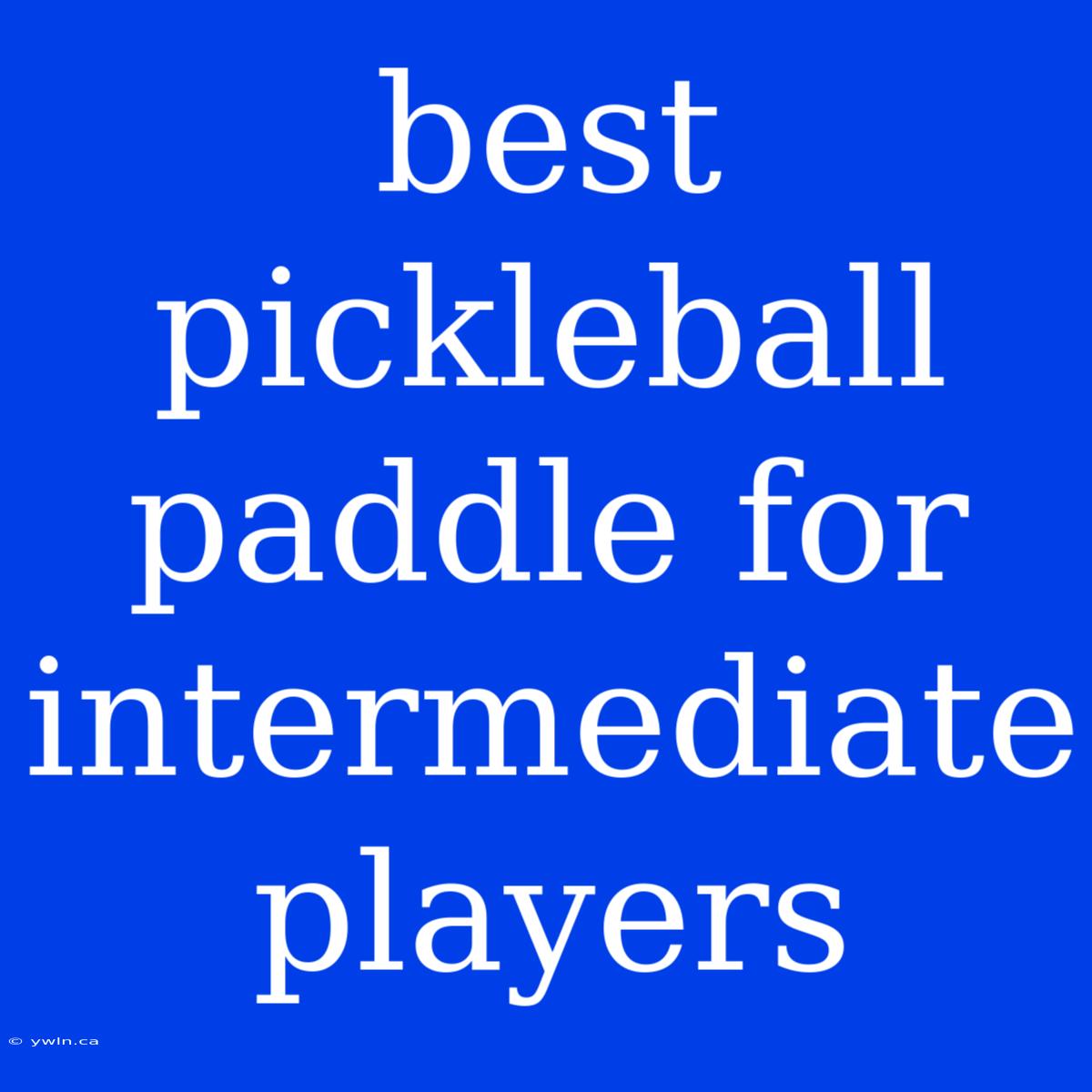 Best Pickleball Paddle For Intermediate Players