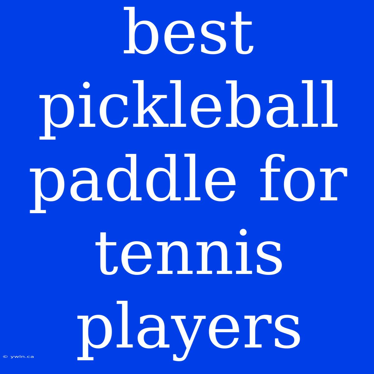 Best Pickleball Paddle For Tennis Players