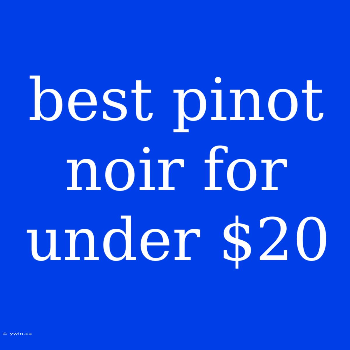 Best Pinot Noir For Under $20