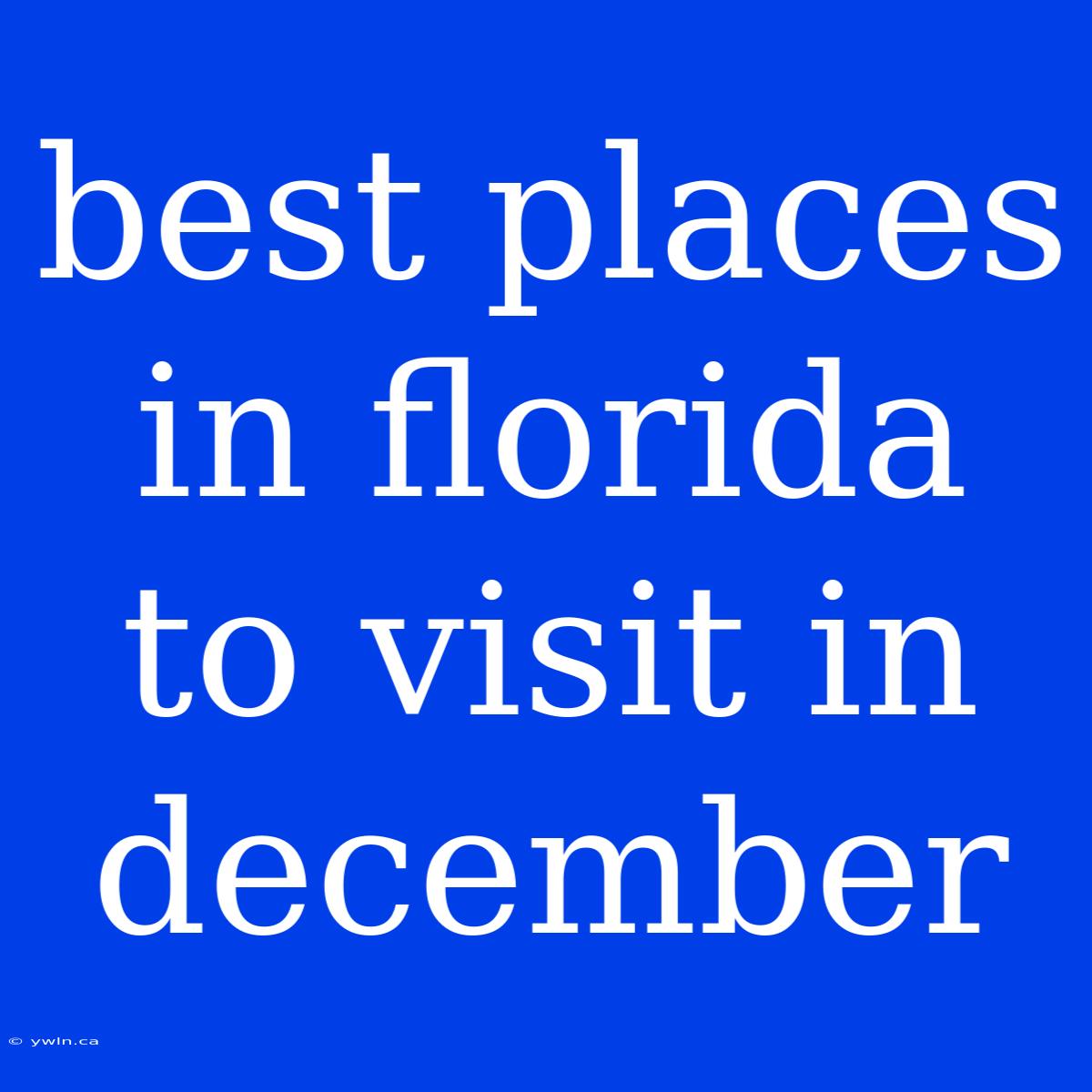 Best Places In Florida To Visit In December