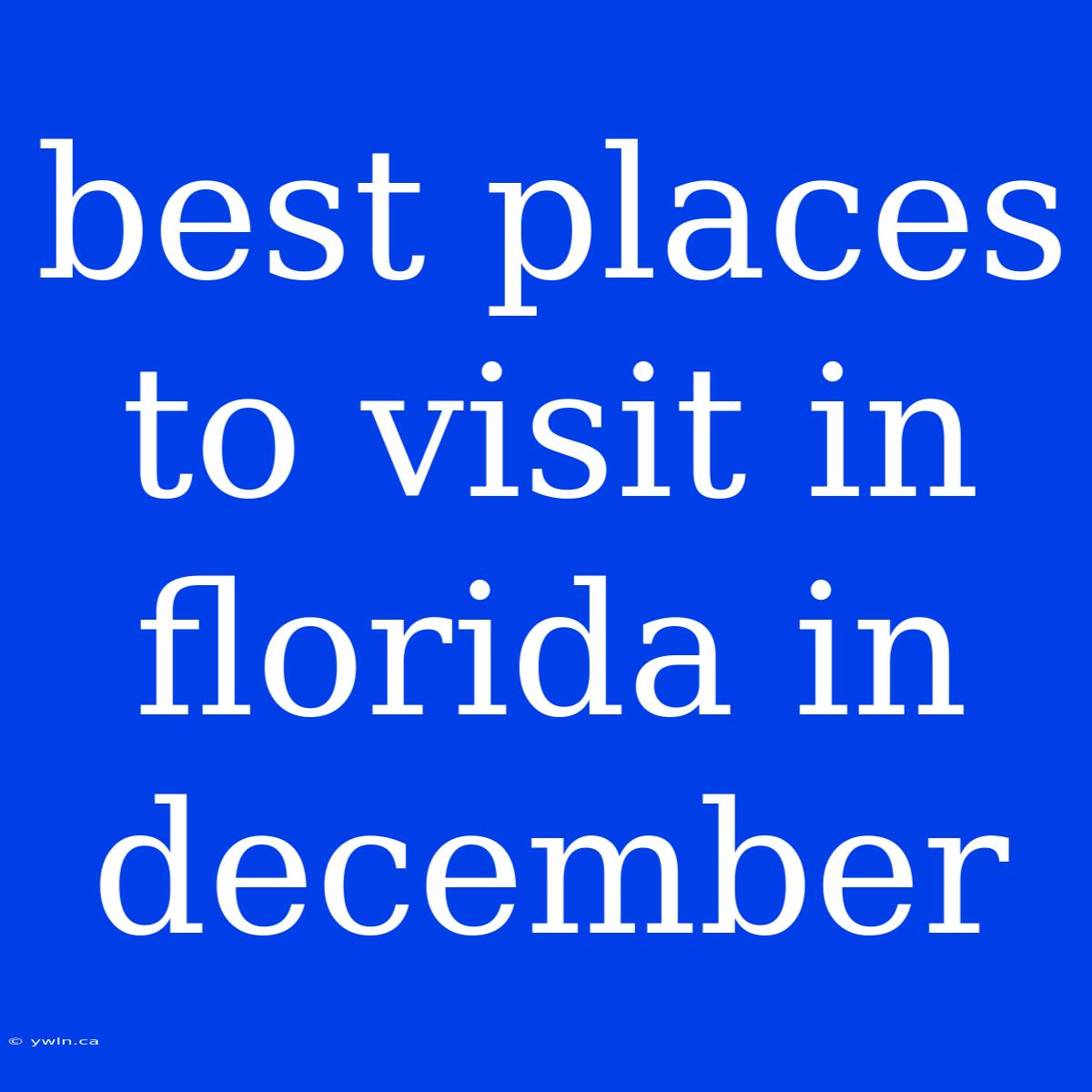 Best Places To Visit In Florida In December