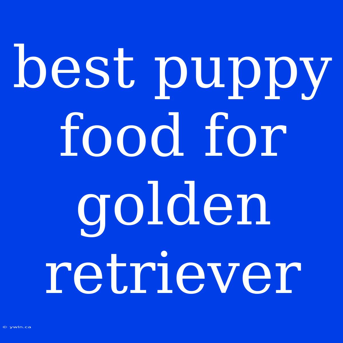 Best Puppy Food For Golden Retriever