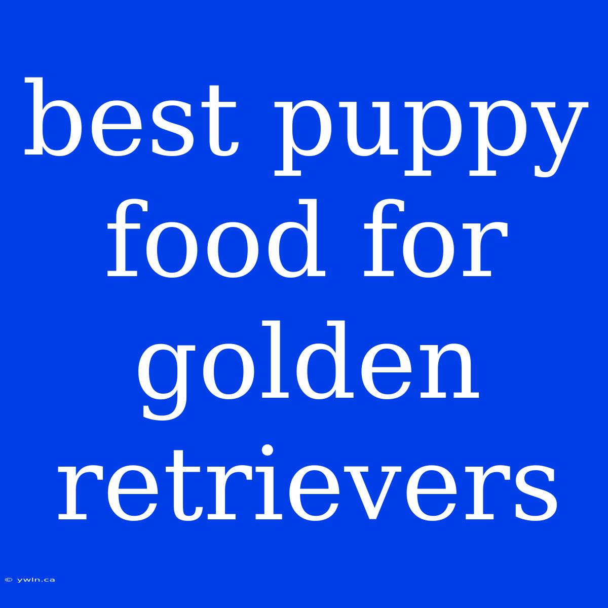 Best Puppy Food For Golden Retrievers