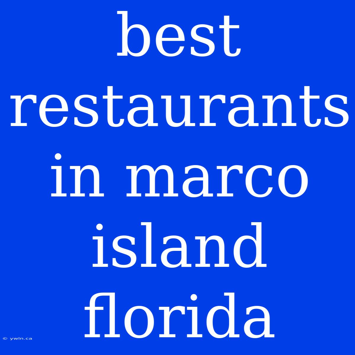 Best Restaurants In Marco Island Florida