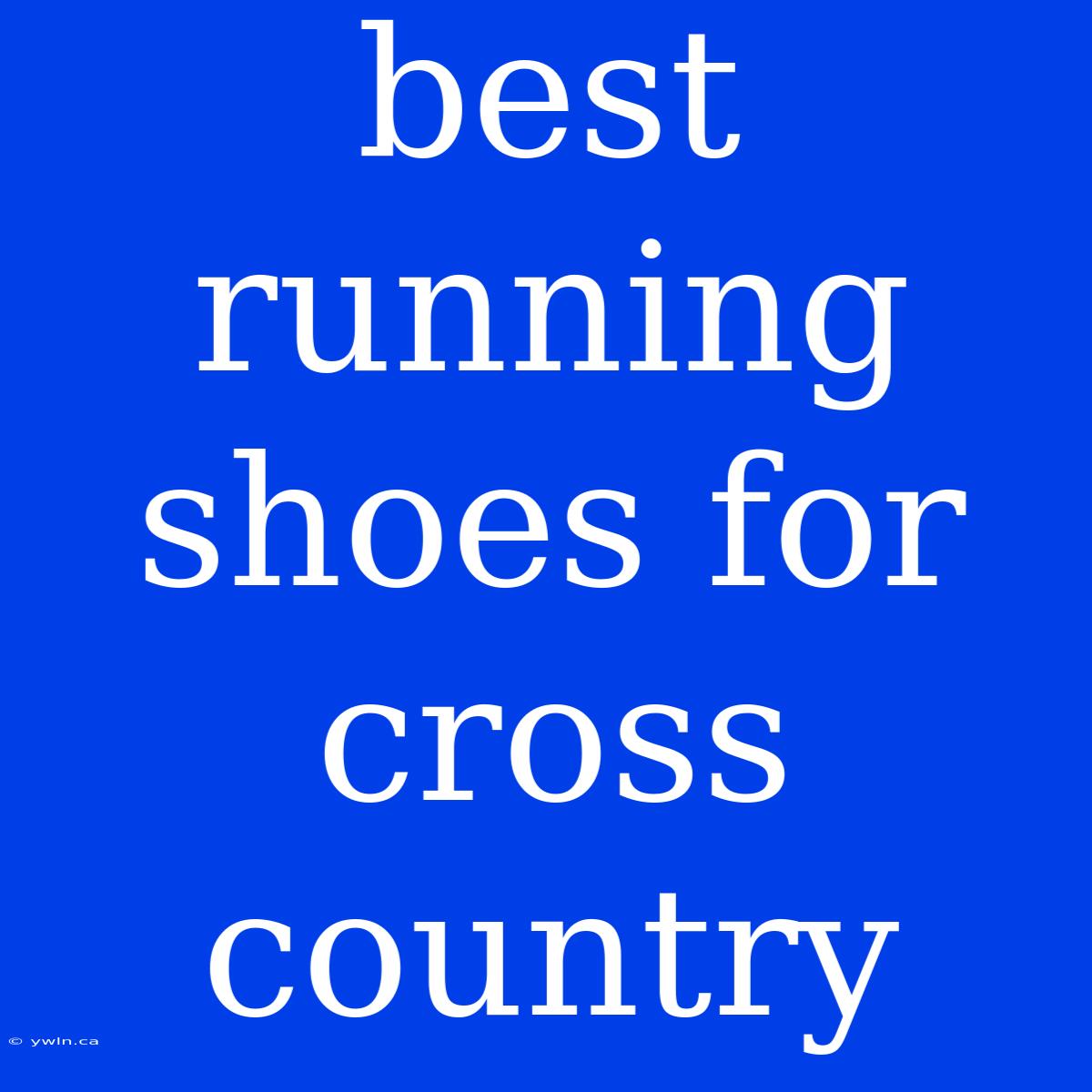 Best Running Shoes For Cross Country