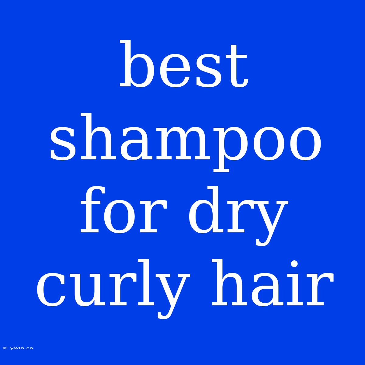 Best Shampoo For Dry Curly Hair