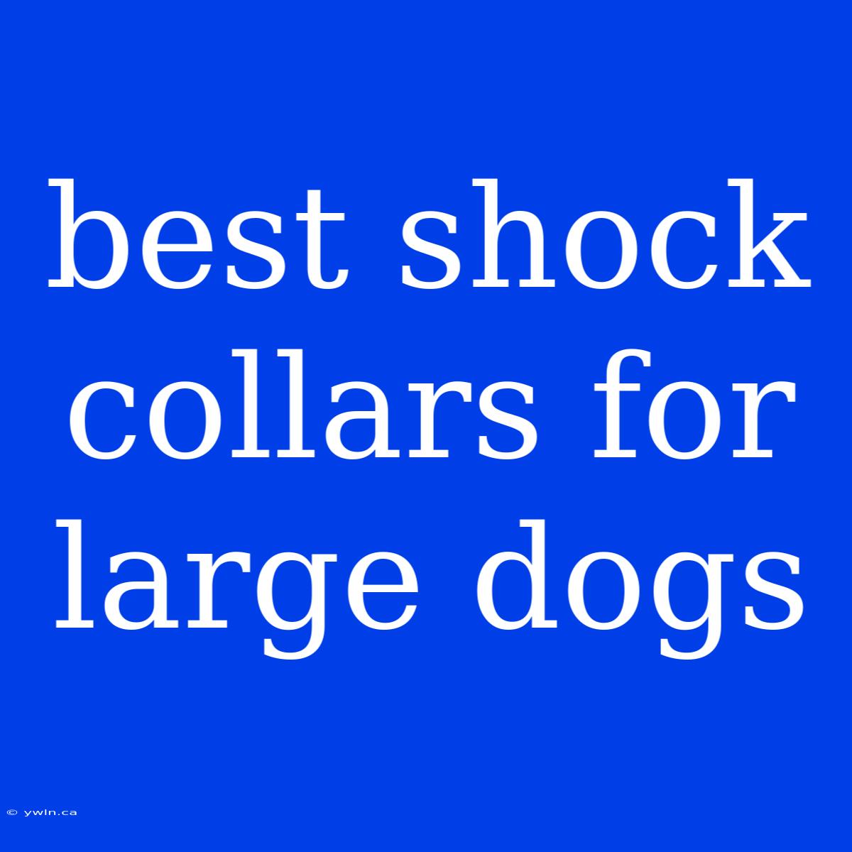 Best Shock Collars For Large Dogs