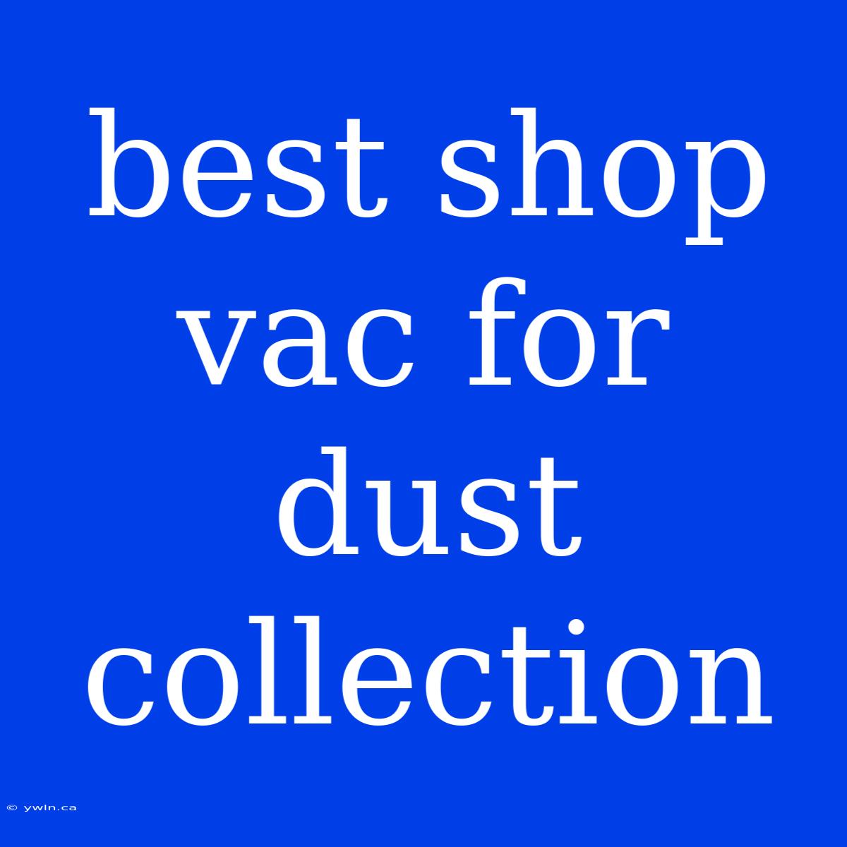 Best Shop Vac For Dust Collection