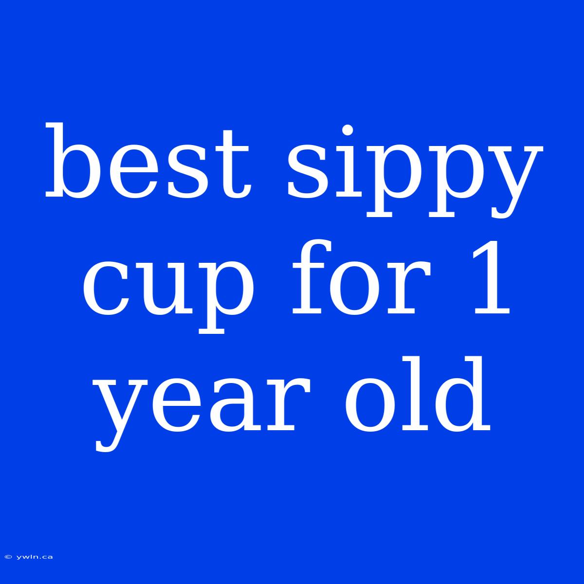 Best Sippy Cup For 1 Year Old