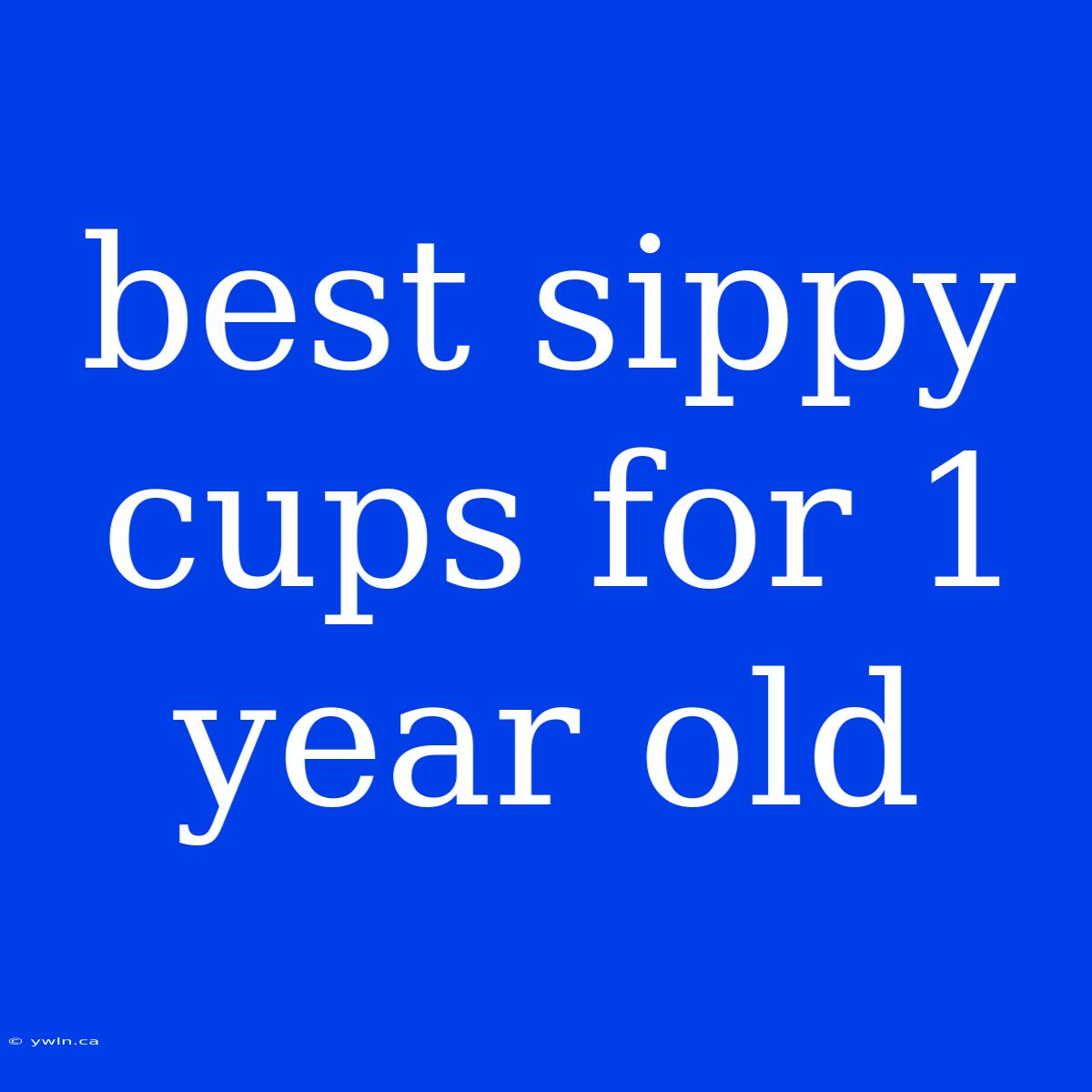 Best Sippy Cups For 1 Year Old