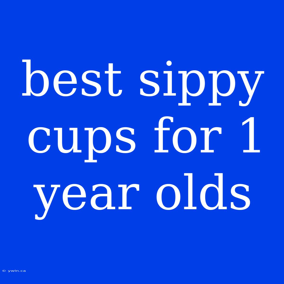 Best Sippy Cups For 1 Year Olds