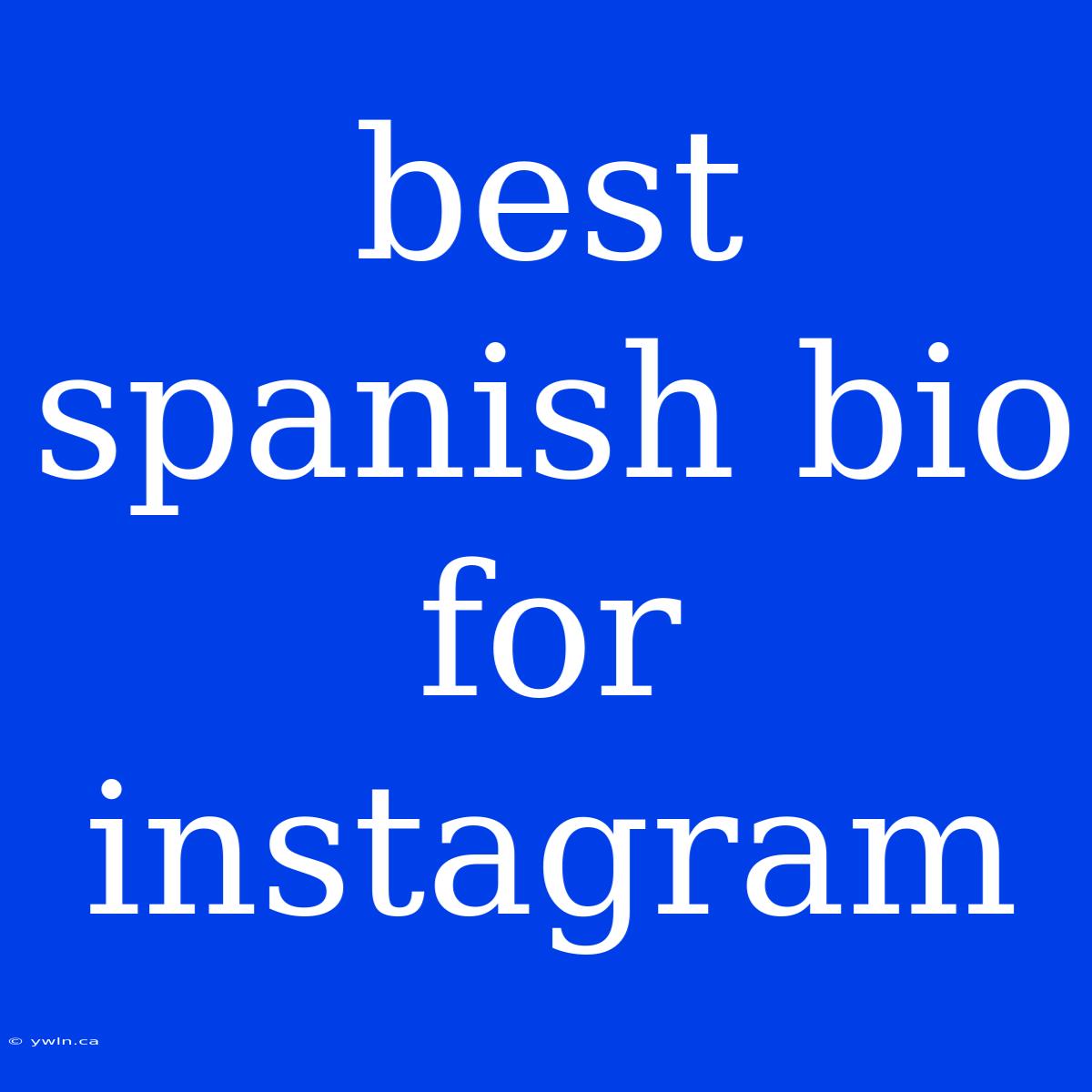 Best Spanish Bio For Instagram