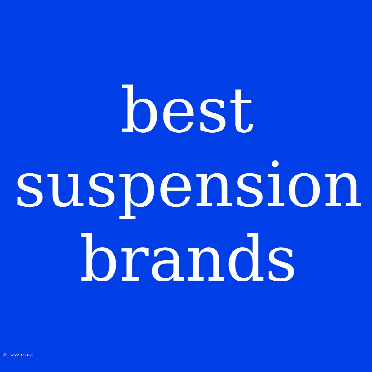 Best Suspension Brands