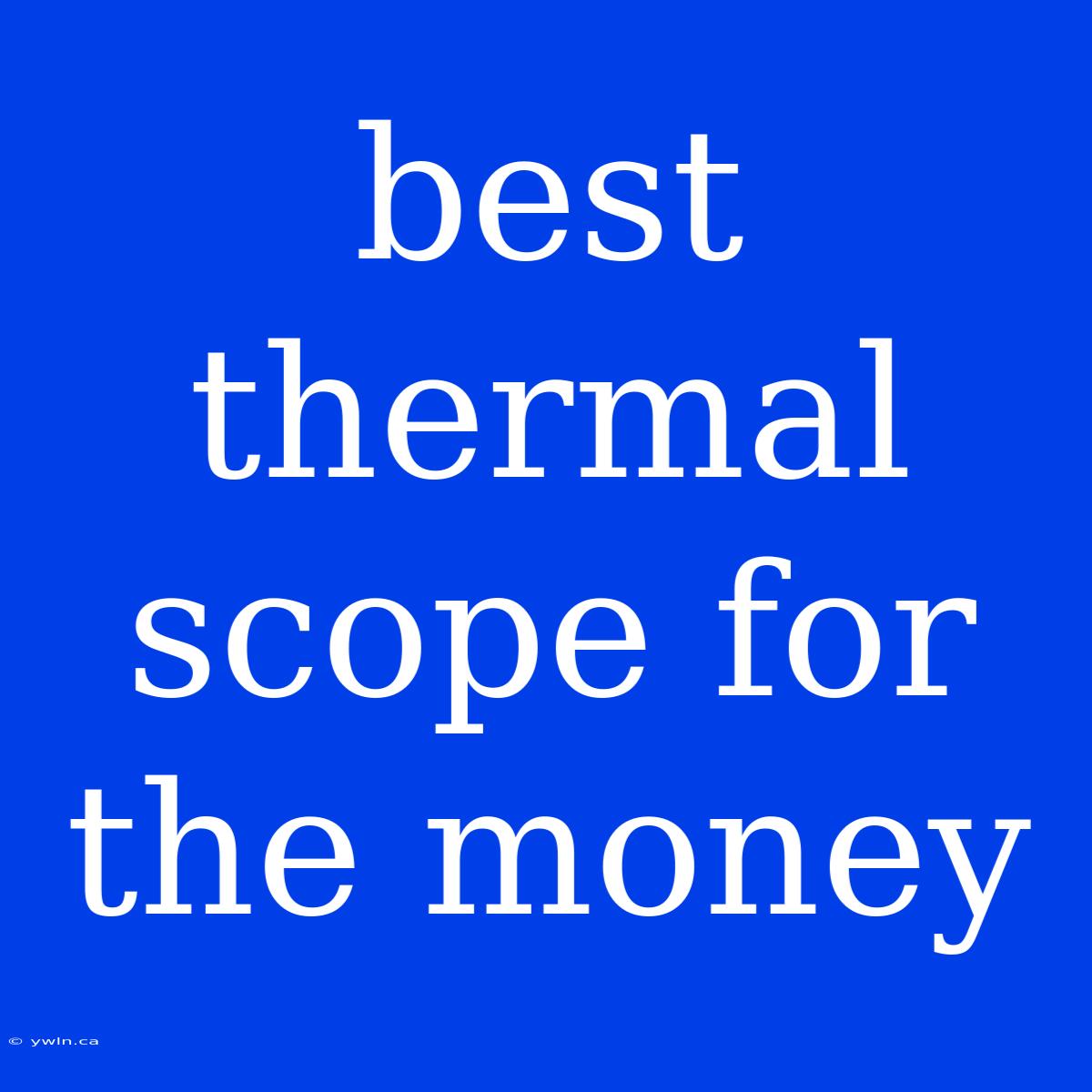 Best Thermal Scope For The Money