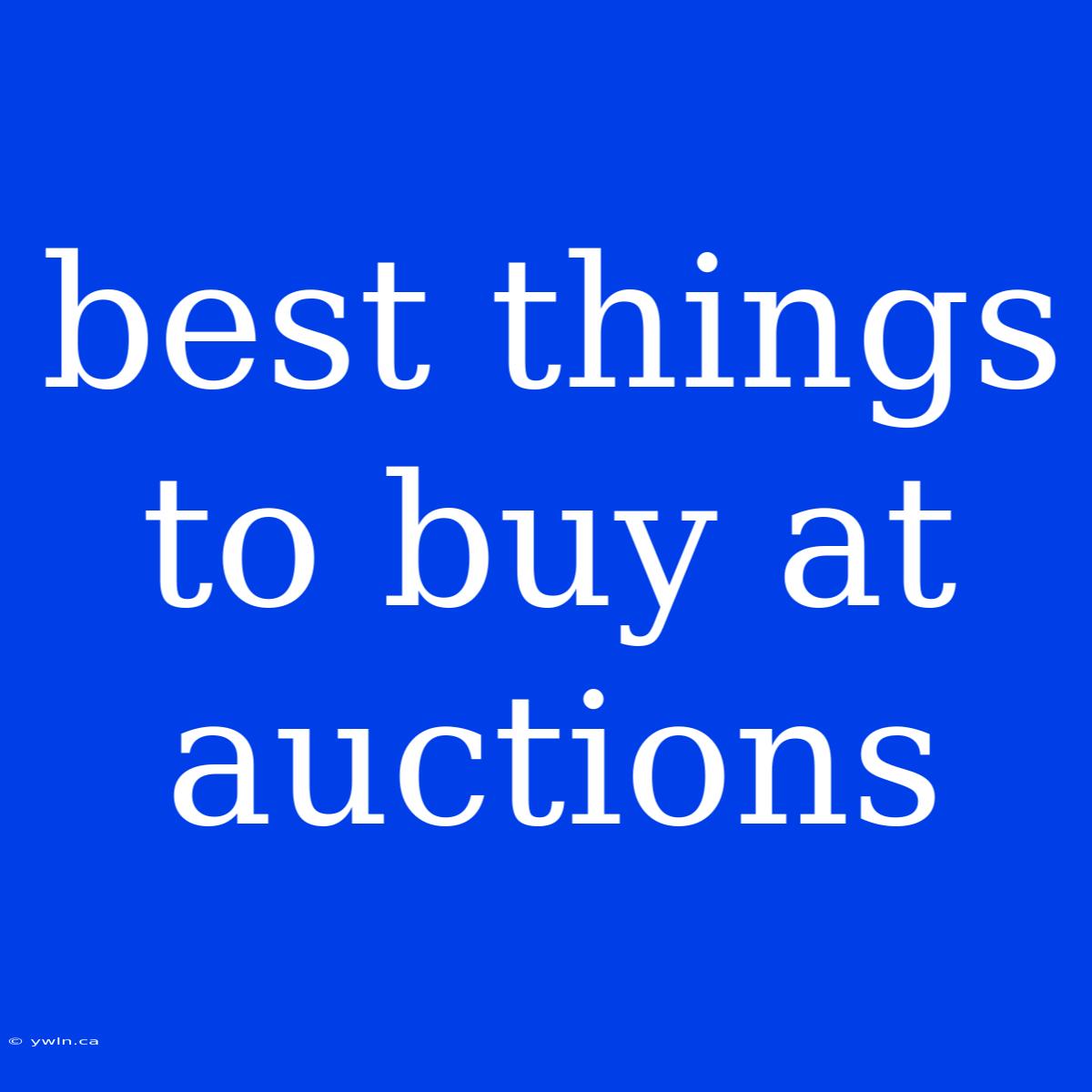 Best Things To Buy At Auctions