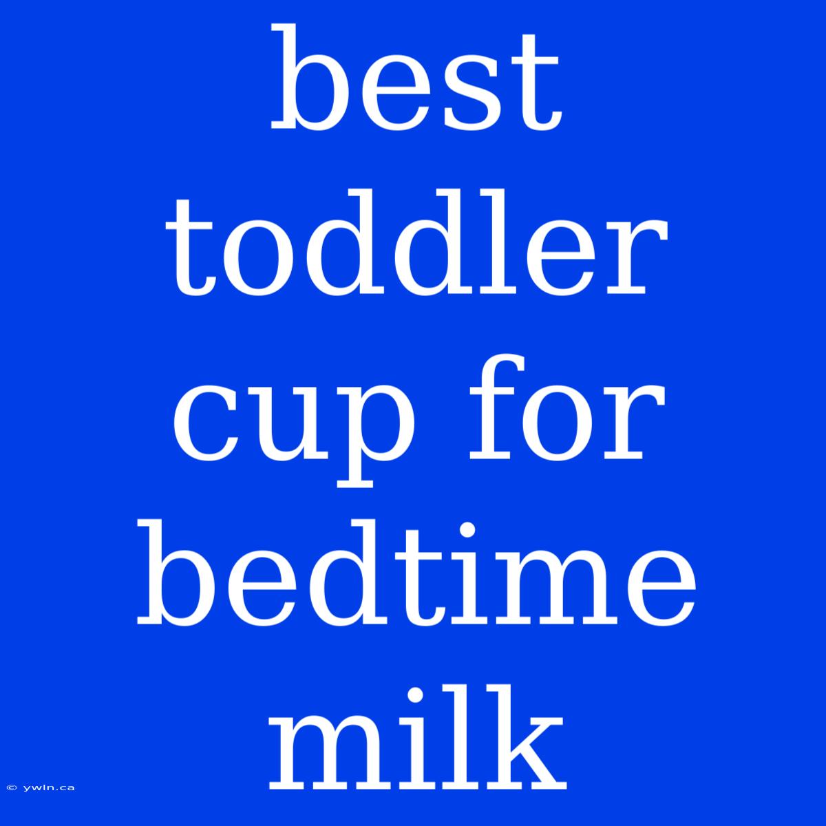 Best Toddler Cup For Bedtime Milk