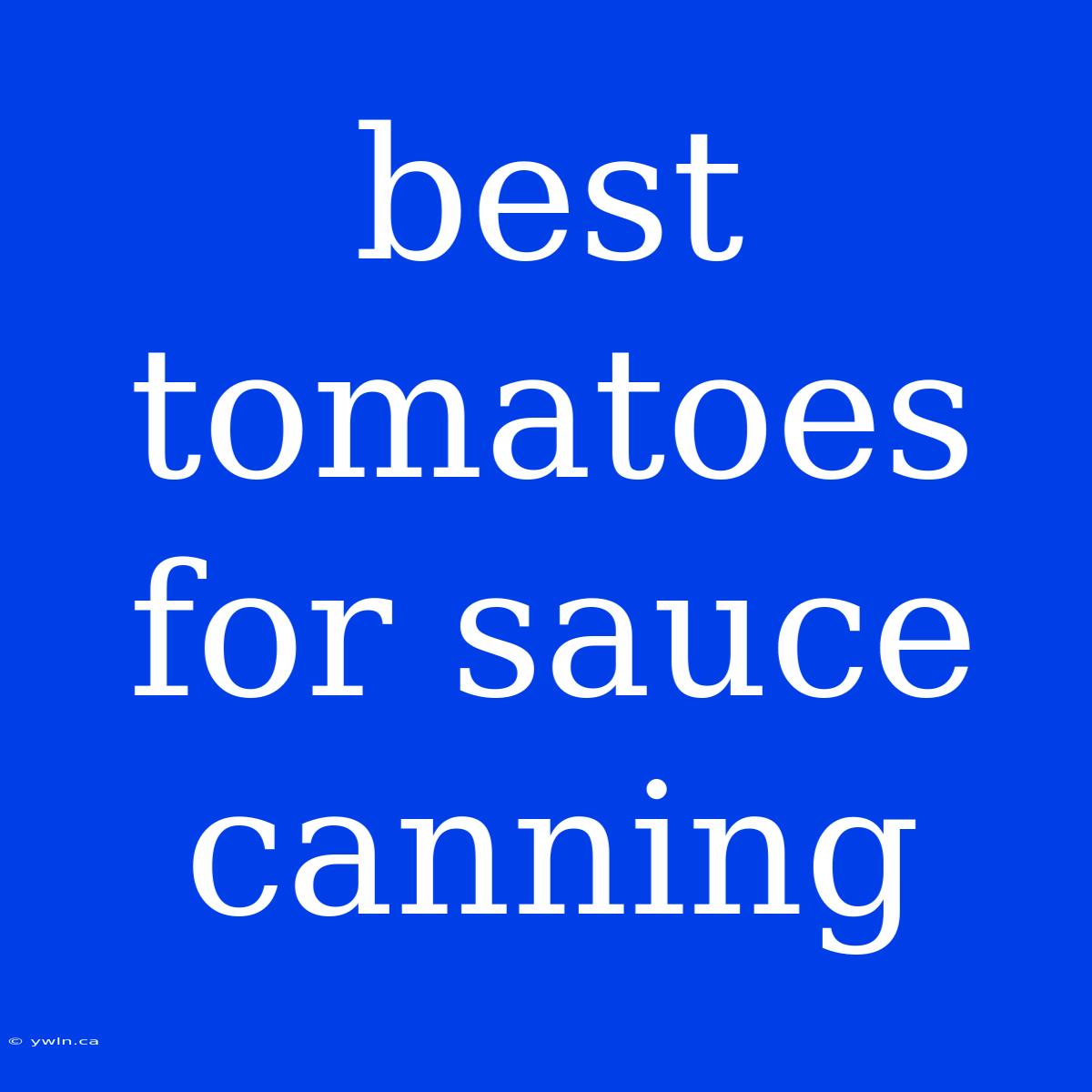 Best Tomatoes For Sauce Canning