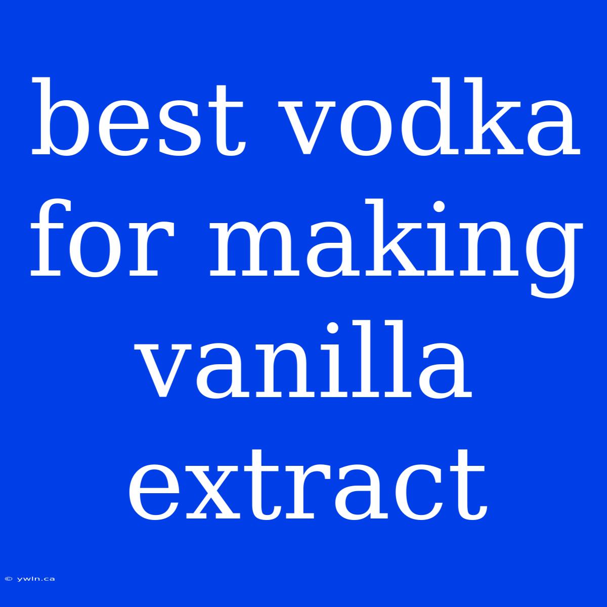 Best Vodka For Making Vanilla Extract