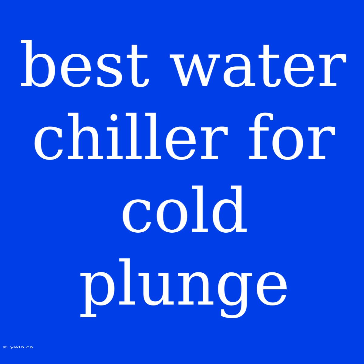 Best Water Chiller For Cold Plunge