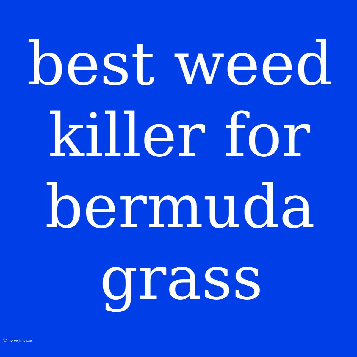 Best Weed Killer For Bermuda Grass