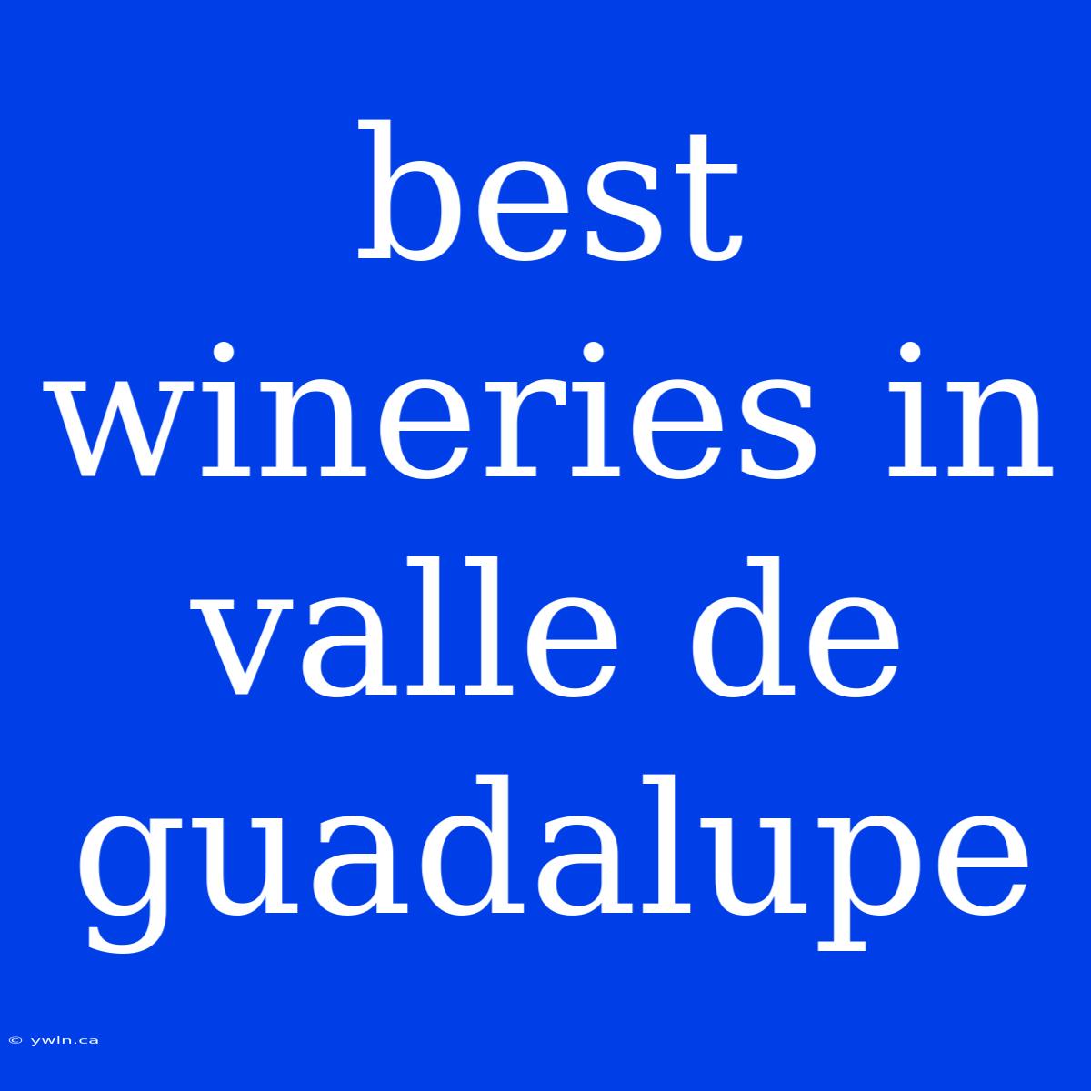 Best Wineries In Valle De Guadalupe