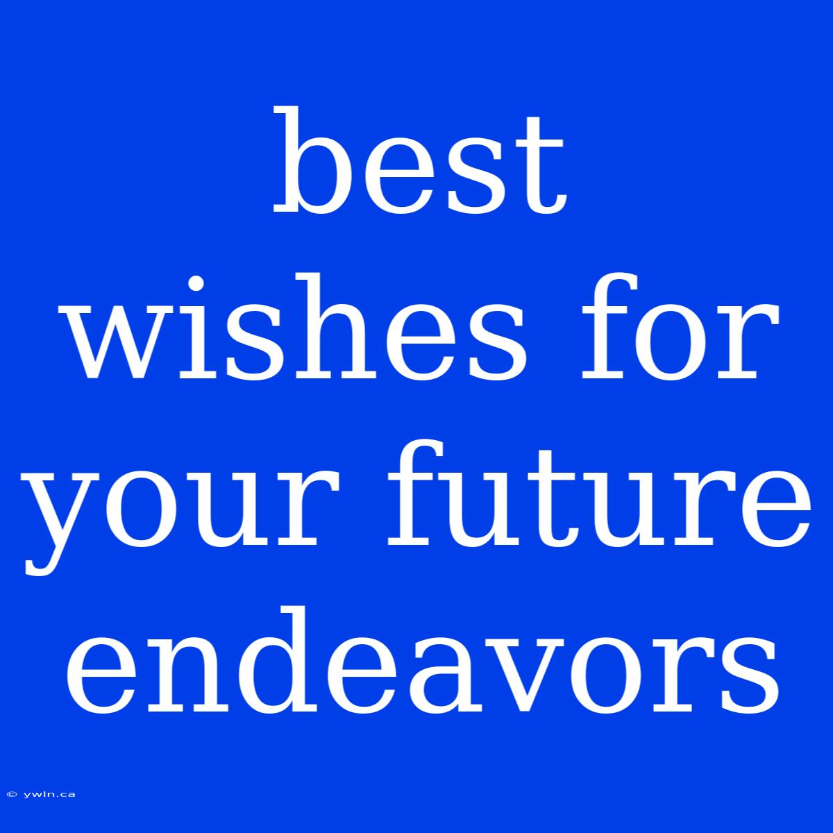 Best Wishes For Your Future Endeavors