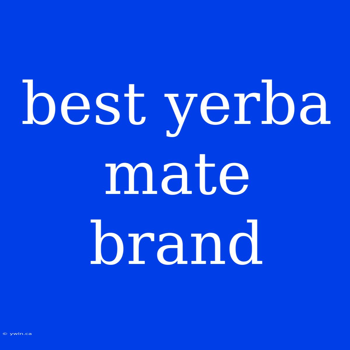 Best Yerba Mate Brand