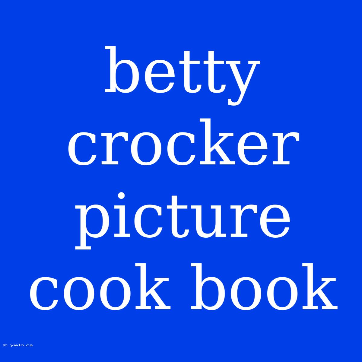 Betty Crocker Picture Cook Book