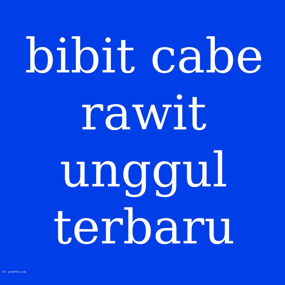 Bibit Cabe Rawit Unggul Terbaru