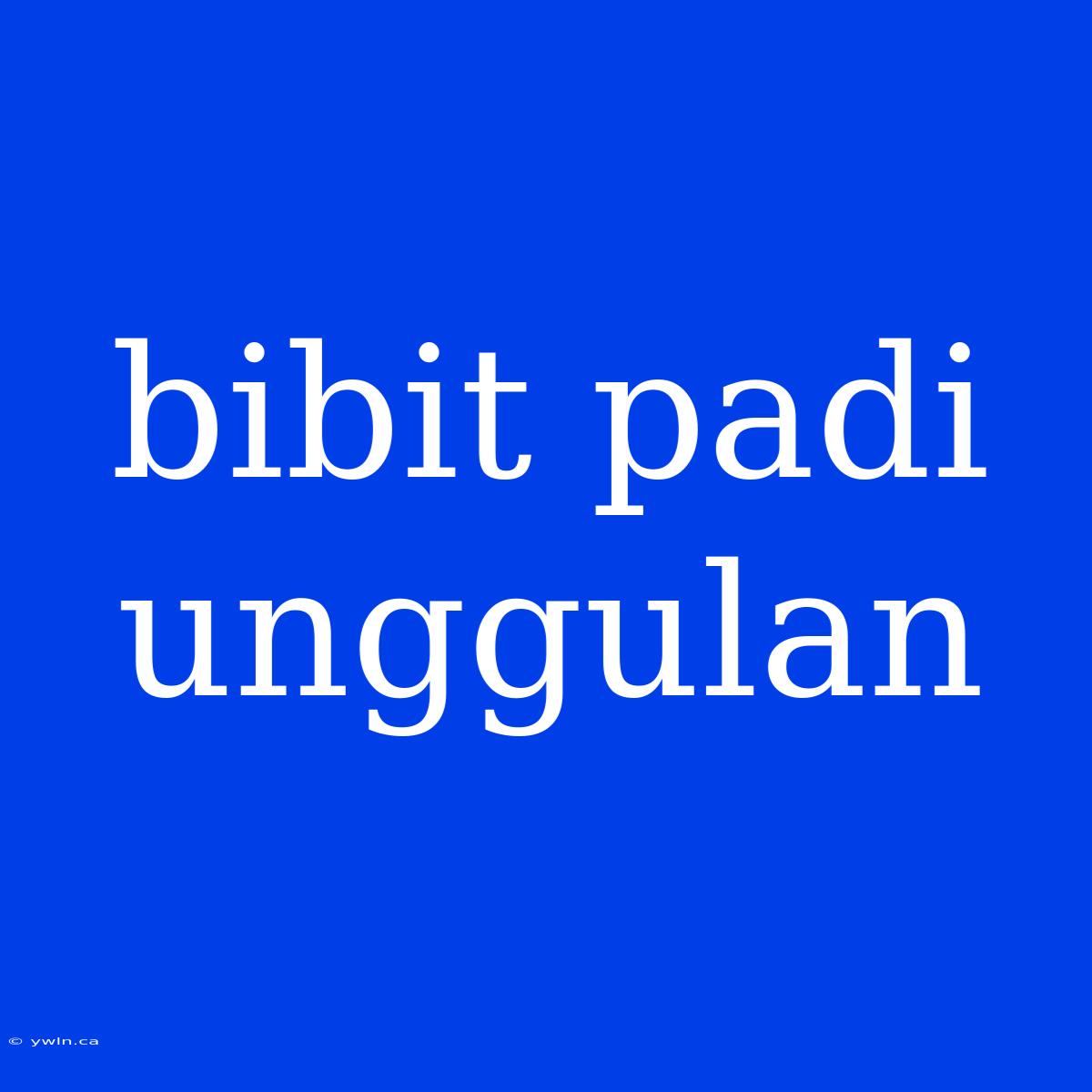 Bibit Padi Unggulan